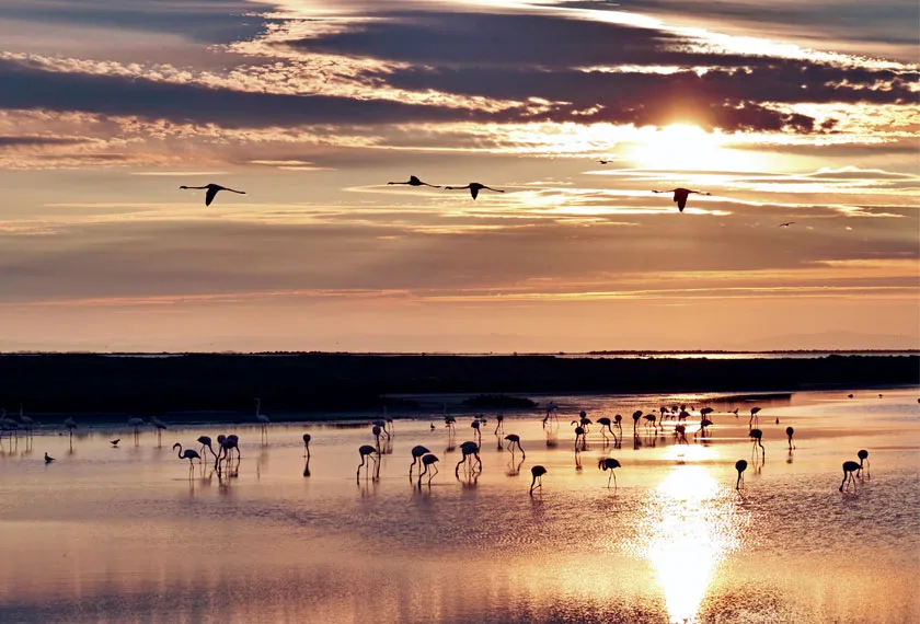Thalazur Port Camargue